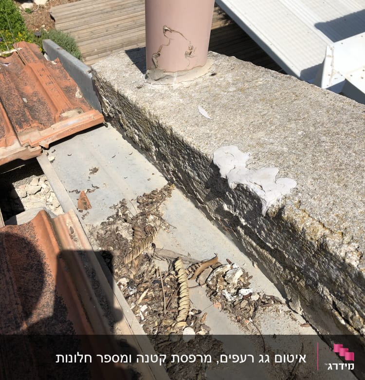 גג עם רעפים אדומים, צינור ורוד ולכלוך